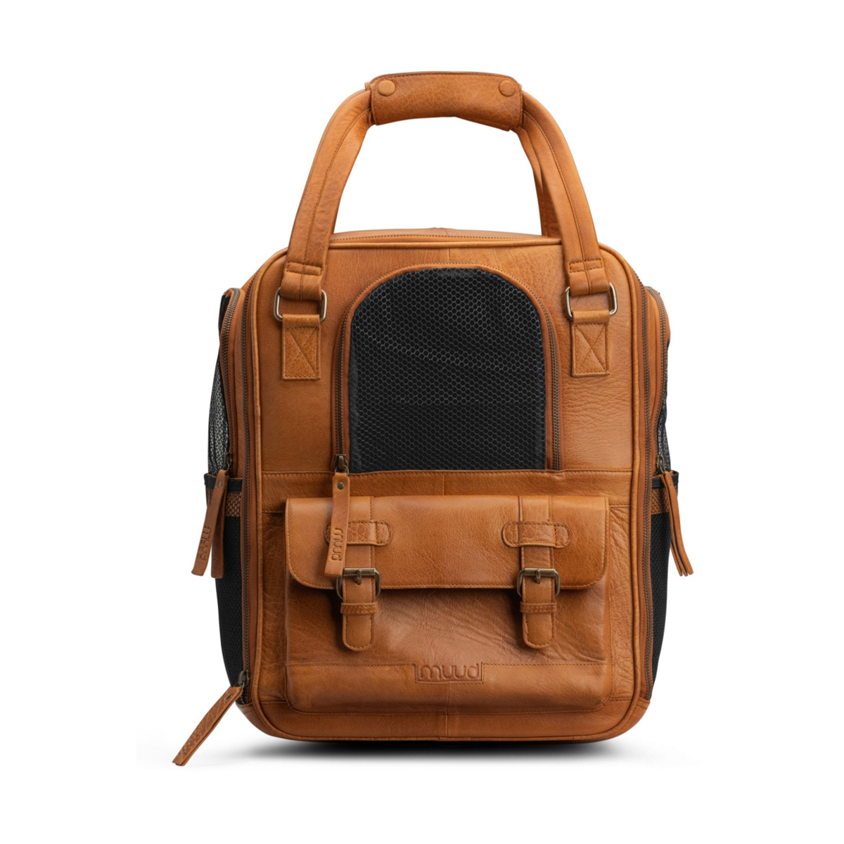 Transportrucksack Hunde Leder Cecily Whisky