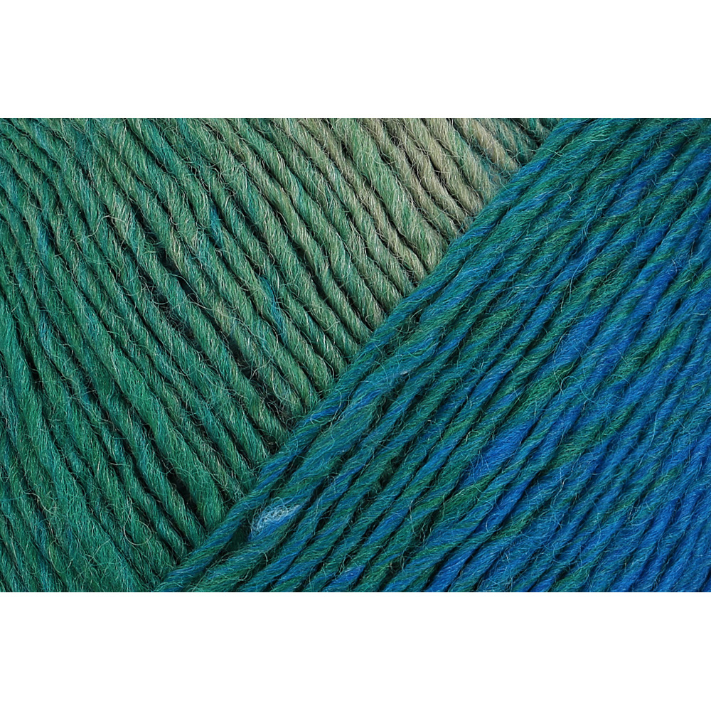 Wolle Schachenmayr landscape Impressione 290m 100g