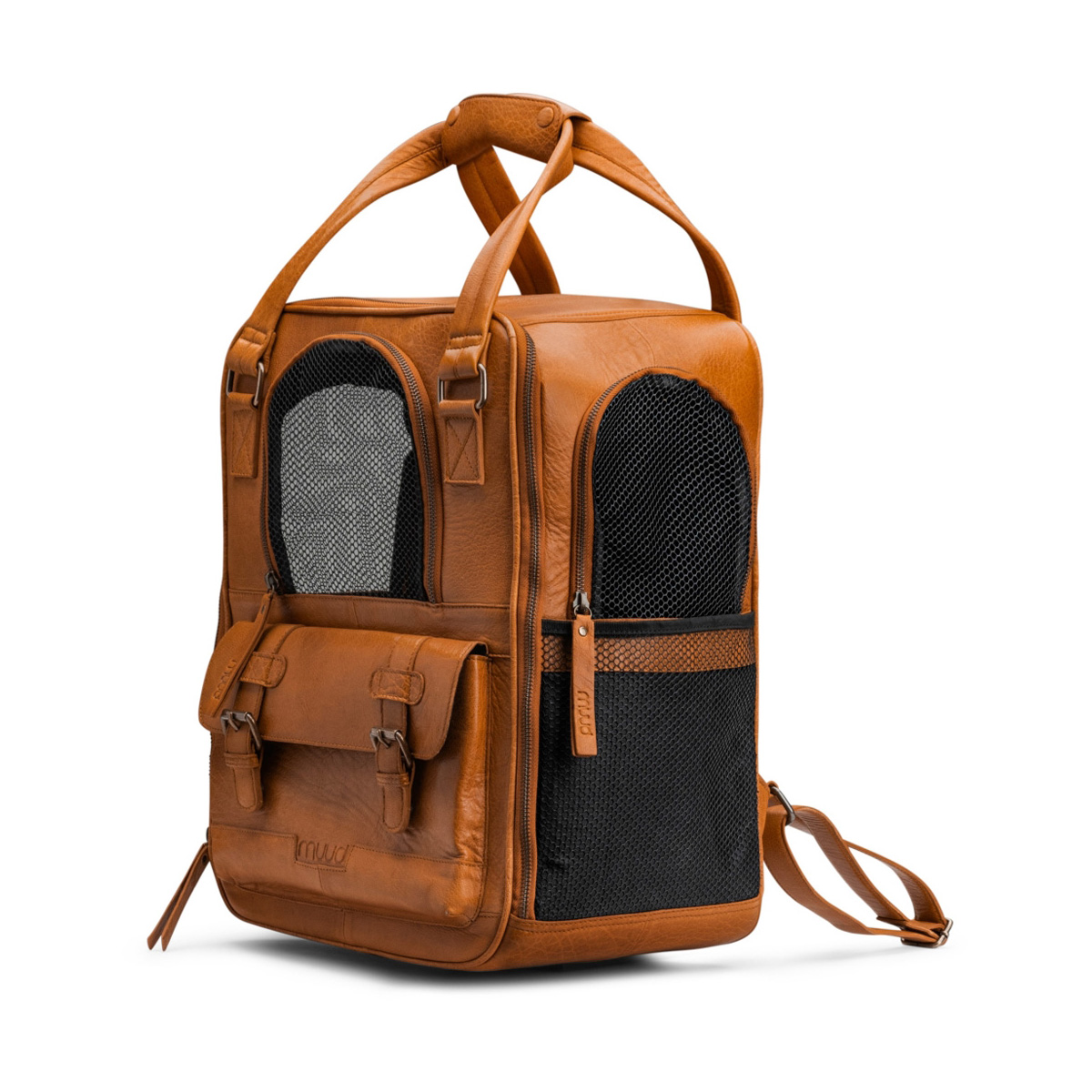 Transportrucksack Hunde Leder Cecily Whisky