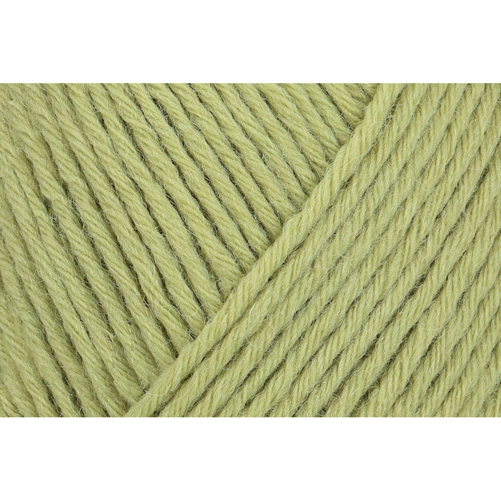 Wolle Regia pistazie 8fädig Uni 300m 150g